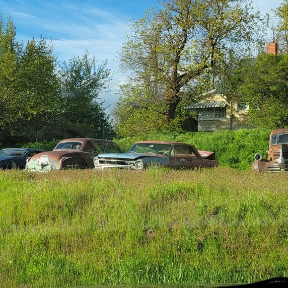 Meet your Posher, Bjarne - Picture 3 of 5